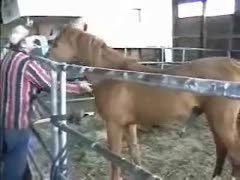 Hardworking ranch-hand awards himself by letting a horse fuck him unfathomable in the arse here 